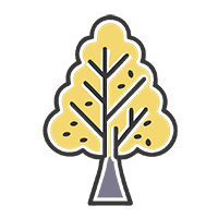 Лечение деревьев